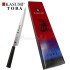 Coltello giapponese sashimi personalizzato