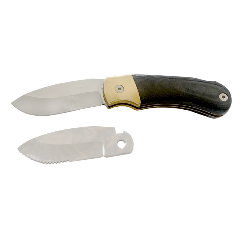FOLDING 2 INTERCHANGEABLE BLADES