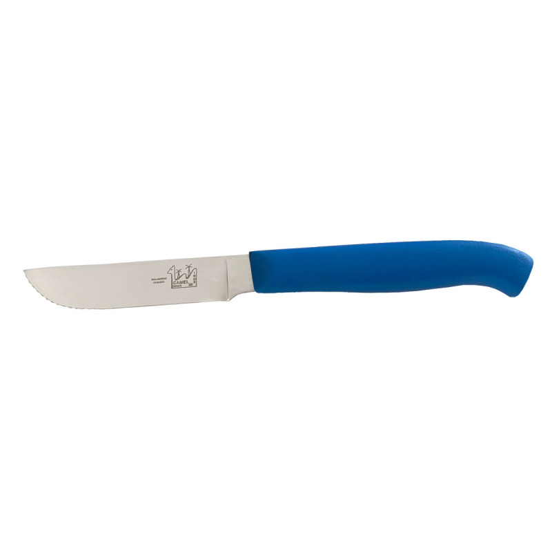 CAMEL STEAK KNIFE PVC HANDLE Blue
