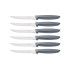 Tramontina PLENUS SET 6 PZ CARNE DENTATO (Meat Knife serr) CM.12 23498/654 Grey