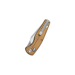 QSP REPTILE ALUMINIUM SATIN/STW QS165-A1 Champagne