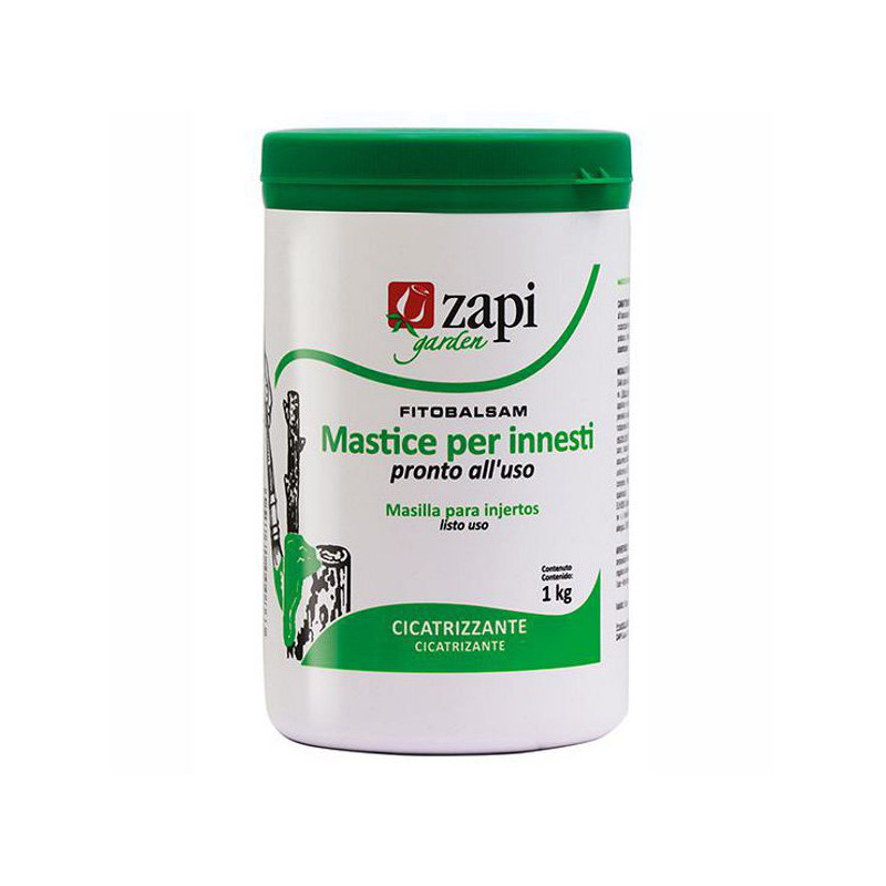MASTICE INNESTI g  200                        ZAPI