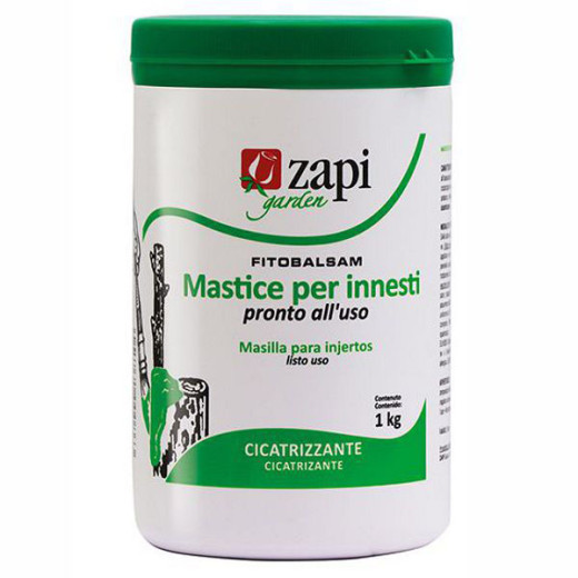 MASTICE INNESTI g  500                        ZAPI