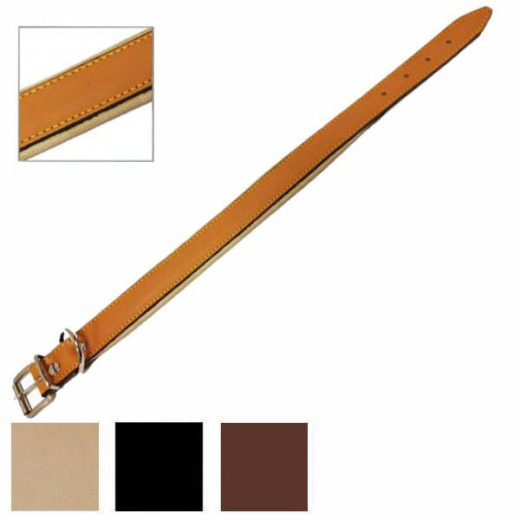 COLLARE CANI CUOIO IMBOTTITO mm 25 cm 51