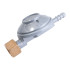 REGOLATORE GAS BP ORIZZONTALE FISSO kg/h 1,0    CG