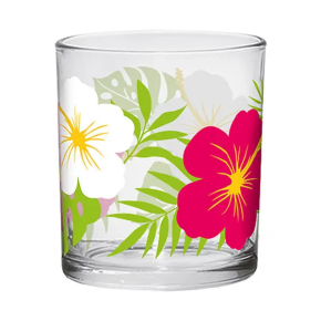 BICCHIERE ACQUA IBISCO           cc 220 Pz 3 CERVE