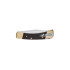Buck FOLDING HUNTER SLIM HERITAGE ELITE BRASS 110BRS19-B
