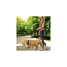Niteize RADDOG ALL-IN-ONE COLLAR+LEASH MEDIUM Blue RRLM-03-R3
