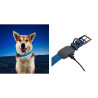 Niteize NITEDOG RECHARGEABLE LED COLLAR LARGE Blue NDCRL-03-R3