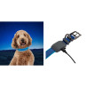 Niteize NITEDOG RECHARGEABLE LED COLLAR MEDIUM Blue NDCRM-03-R3