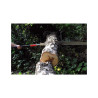 Silky FOLDING SAW KATANABOY 1000-5-2.5 Extra Large Teeth (710-99)