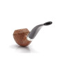 Barling PIPA BENJAMIN FOSSIL 1819