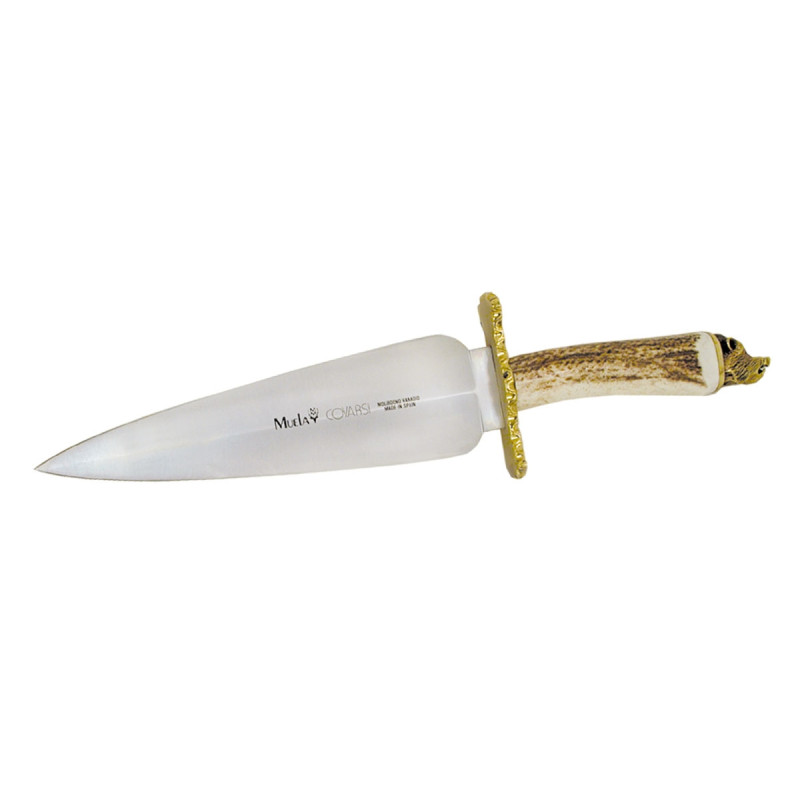 Mulea COVARSI STAG 24N