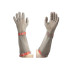 Euroflex GUANTO ACC.+PROTEZ.19CM MEDIO